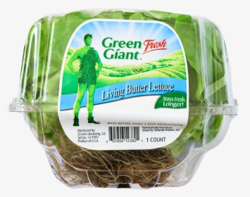 Green Giant Lettuce, HD Png Download, Transparent PNG