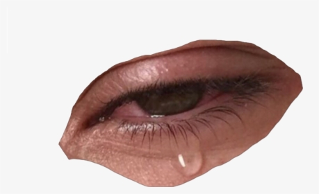 Cry, Crying, And Mood Image - Niche Meme Fillers Png, Transparent Png, Transparent PNG