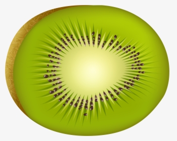 Kiwi Png Clip Art - Kiwi Fruit Clipart Png, Transparent Png, Transparent PNG