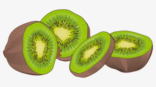 Clipart Kiwi Fruit - Kiwi Fruit Clipart, HD Png Download, Transparent PNG