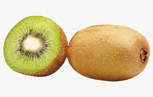 Transparent Kiwi Fruit Clipart - Kiwifruit, HD Png Download, Transparent PNG