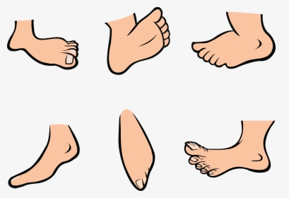 Foot Cartoon Pictures Of Feet Free Download Clipart - Feet Clipart, HD Png Download, Transparent PNG