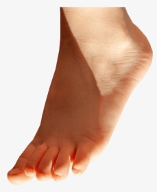 Foot Pointing Down - Transparent Background Feet Png, Png Download, Transparent PNG
