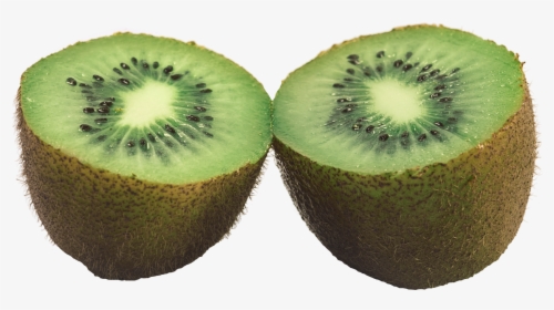 Kiwifruit, HD Png Download, Transparent PNG