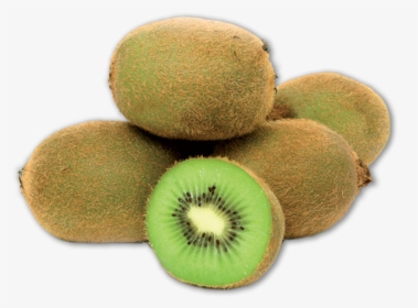 Kiwifruit, HD Png Download, Transparent PNG