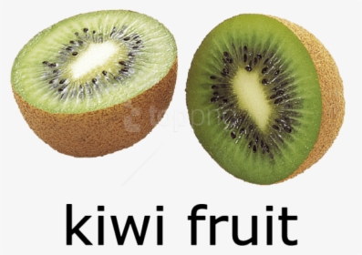 Free Png Kiwi Fruit Png Images Transparent - Kiwi Images With Name, Png Download, Transparent PNG