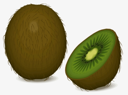Kiwi,apple,food - Kiwi Import Cartoon Clip Art, HD Png Download, Transparent PNG