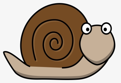 Snail, Animal, Fun, Surprised, Snail Shell, Shell - Snail Clipart, HD Png Download, Transparent PNG