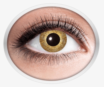 Golden Contact Lenses - Contact Lenses With Rainbow, HD Png Download, Transparent PNG