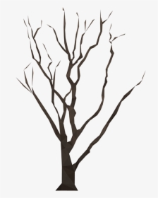 Twig, HD Png Download, Transparent PNG