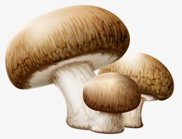 Mushroom Clipart Collection - Mushrooms Png, Transparent Png, Transparent PNG