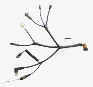 Transparent Electrical Wires Png - Twig, Png Download, Transparent PNG