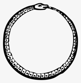 Ouroboros Symbol Serpent Snake Tail - Ouroboros Png, Transparent Png, Transparent PNG