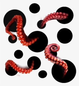 #ftestickers #octopus #tentacles - Illustration, HD Png Download, Transparent PNG