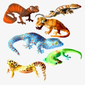 Transparent Dust Mask Clipart - Cute Leopard Gecko Art, HD Png Download, Transparent PNG