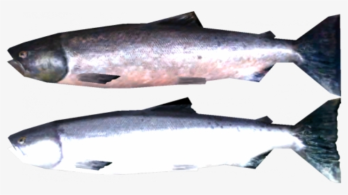Transparent Salmon Png - Skyrim Salmon, Png Download, Transparent PNG
