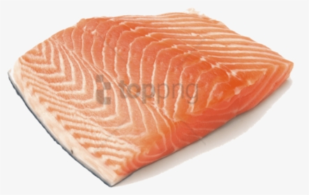 Transparent Salmon Clipart Black And White - Salmon With No Background, HD Png Download, Transparent PNG