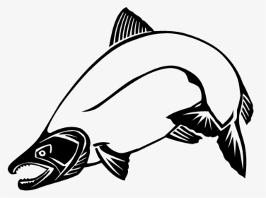Chinook Salmon Clip Art - Coho Salmon Clip Art, HD Png Download, Transparent PNG