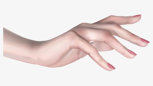 Girl Hand Png Image Background - Female Hand Png, Transparent Png, Transparent PNG