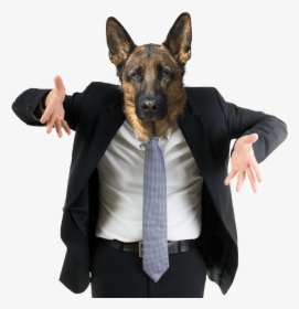 Confused Dog Png - Stock Image Of Man Shrugging, Transparent Png, Transparent PNG