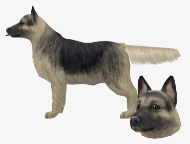 Download Zip Archive - Old German Shepherd Dog, HD Png Download, Transparent PNG