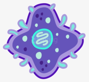 Transparent Germ Clipart - Bacteria Cell Transparent, HD Png Download, Transparent PNG