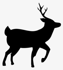 Deer Silhouette - Deer Silhouette Transparent, HD Png Download, Transparent PNG