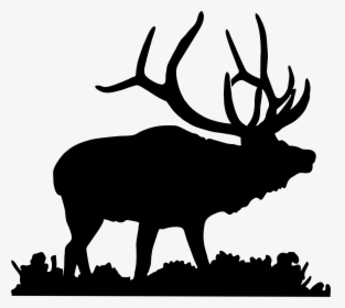 Deer Head Silhouette Png Download - Bull Elk Clip Art, Transparent Png, Transparent PNG