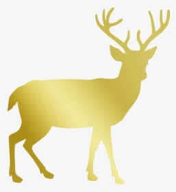Vacation, Gold, Deer, Stag, Reindeer, Christmas - Deer Silhouette Png, Transparent Png, Transparent PNG