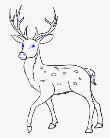 How To Draw Deer - Deer Easy To Draw, HD Png Download, Transparent PNG