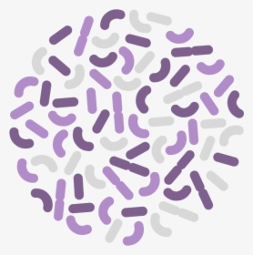Simple Bacteria Illustration In Purple And Beige - Probiotics And Diabetes, HD Png Download, Transparent PNG