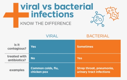 Viral Vs Bacterial Pneumonia, HD Png Download, Transparent PNG