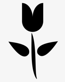 Plant,leaf,monochrome Photography - One Tulip Black Clipart, HD Png Download, Transparent PNG