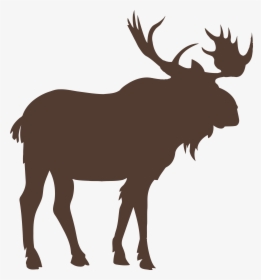 Moose Vector Graphics Royalty-free Stock Photography - Moose Vector Png, Transparent Png, Transparent PNG