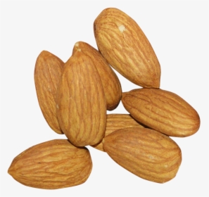 Almond Png Free Download - Almond Transparent Background, Png Download, Transparent PNG