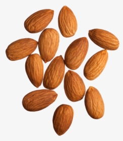 Apricot-kernel - Almonds Png, Transparent Png, Transparent PNG