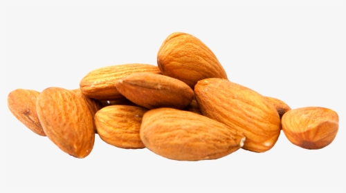 Almond Milk Nut Clip Art - Almonds Png Transparent, Png Download, Transparent PNG