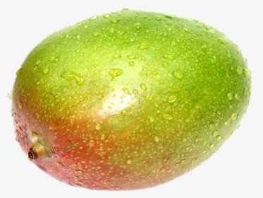 Download Green Mango Hq Png Image - Avocado, Transparent Png, Transparent PNG