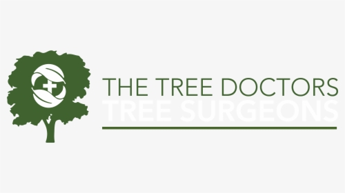 Tree Doctors Logo - Parallel, HD Png Download, Transparent PNG