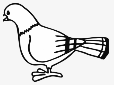 Dove Clipart Black And White - Cartoon Drawing Of Pigeon, HD Png Download, Transparent PNG