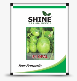 Hybrid Brinjal Seeds F1 Opal - Shine Seeds, HD Png Download, Transparent PNG