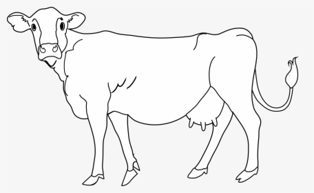Clipart Cow Cow Indian - Dairy Cow, HD Png Download, Transparent PNG