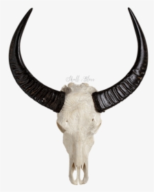 Horn,antelope,animal Figure,cow-goat - Animal Skull Png, Transparent Png, Transparent PNG
