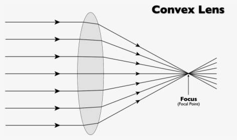 Transparent Point Of Light Png - Simple Convex Lens Diagram, Png Download, Transparent PNG