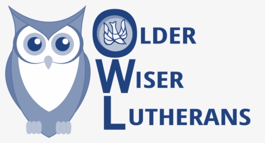 Owl, HD Png Download, Transparent PNG