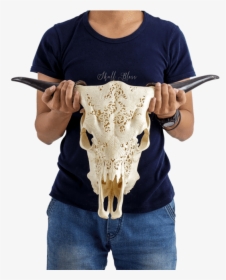 Carved Cow Skull - Horn, HD Png Download, Transparent PNG