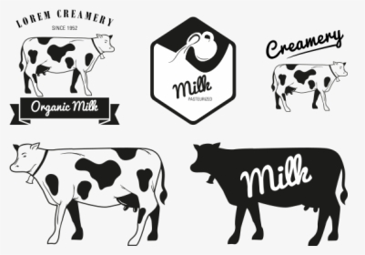 Milk Holstein Friesian Cattle Dairy Cattle Logo - Cow Vector, HD Png Download, Transparent PNG