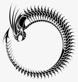 Dragon Tribal Tattoo, HD Png Download, Transparent PNG