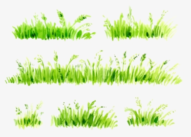 Watercolor Painted Grass Painting Free Transparent - Grass Painting Png, Png Download, Transparent PNG