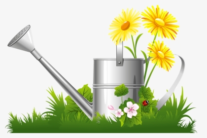Spring Decoration With Water, HD Png Download, Transparent PNG